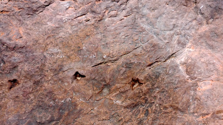 Kleine Dinosuars Tracks